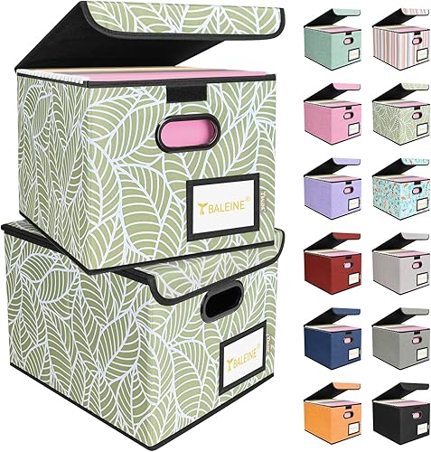 Miniatura 27 de BALEINE - Caja organizadora de archivos con tapa, organizador de carpetas plegable con riel de plástico, caja para carpetas colgantes para Gris