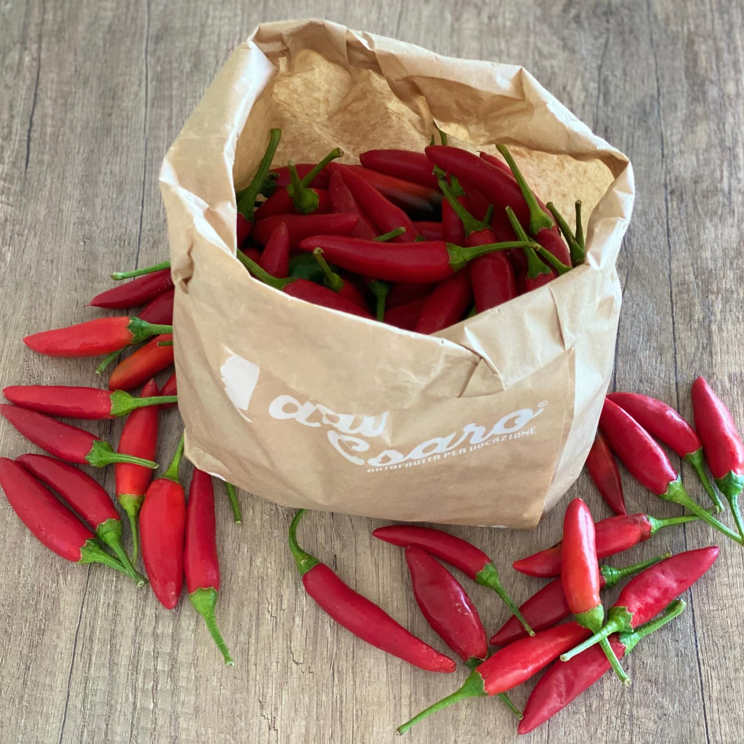 Peperoncino piccante fresco calabrese – 100% italiano – Raccolto a mano per massimo aroma e piccantezza – specialità tipica della calabria – Val D'Esaro - 1Kg