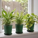 Fasmov 10PCS 1 Gallon Durable Nursery Pot Garden Flower Pots Nursery Plant Container Kit with 10 Pcs Matching Pallets