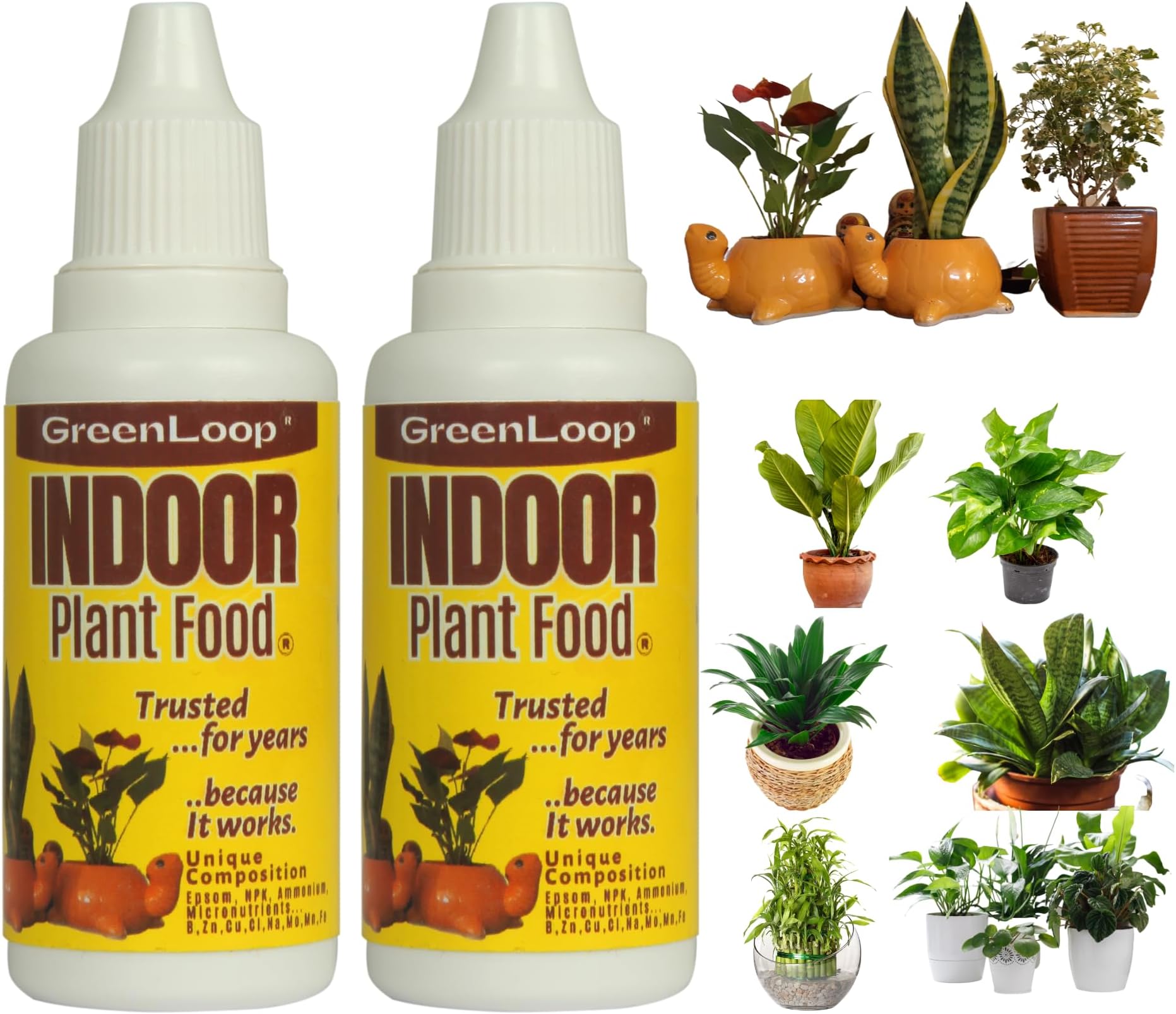 GreenLoop Indoor Plant Food - Liquid Food for Indoor Plants, Two Bottles, Each 30 ml