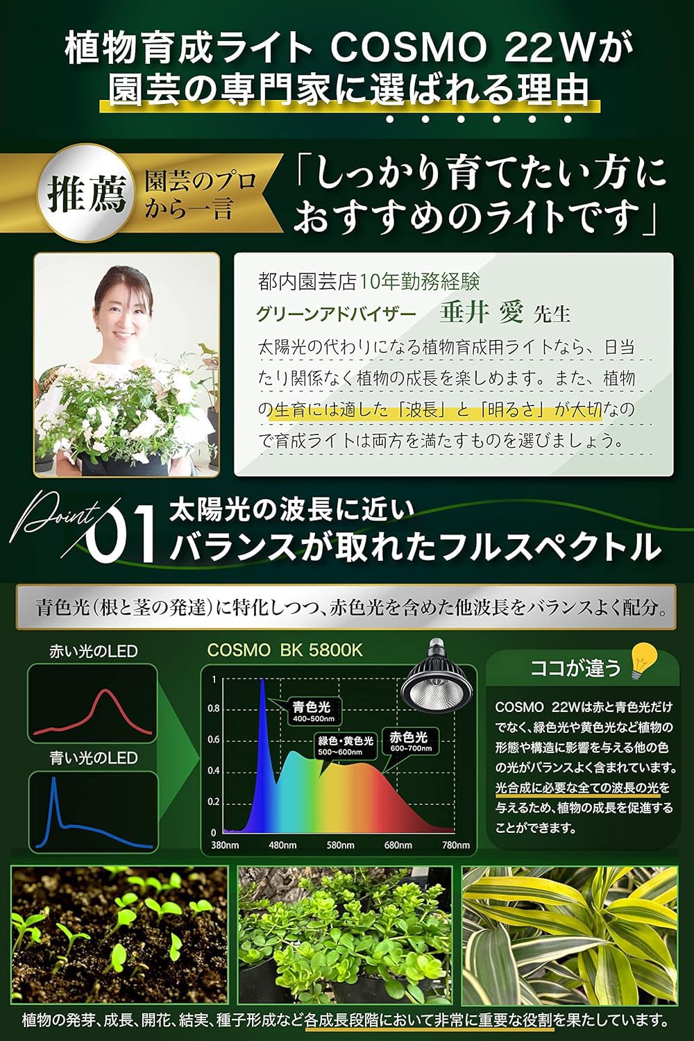 Brim Cosmo 22W 5800K 3個セット 楽天市場】BRIM(ブリム) 公式店