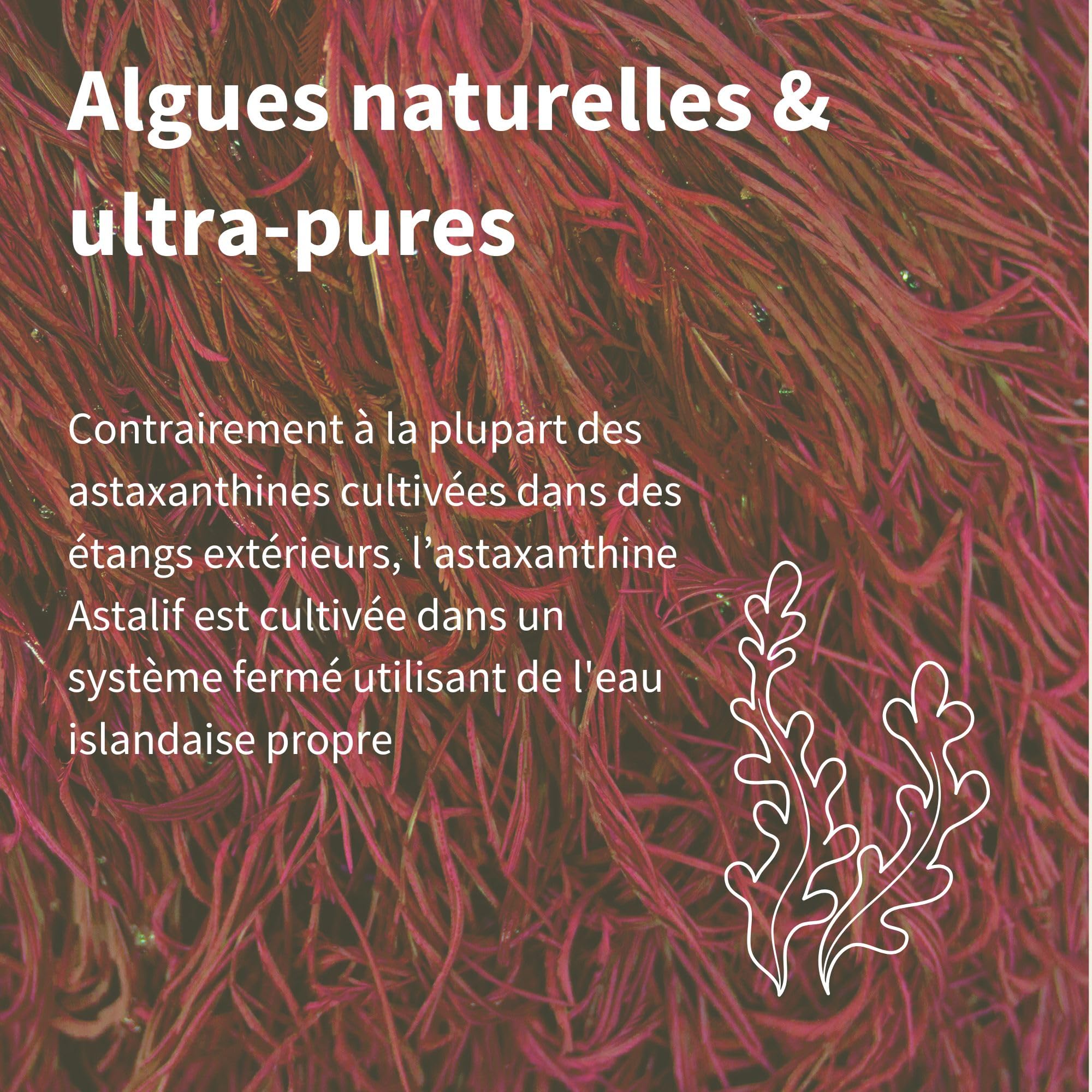 Astaxanthine Vegan, Complexe Antioxydant Naturel, 3 mois, 42mg provenant de algues ultra pures et durables, Lutéine et Zéaxanthine, 90 gélules – par Igennus