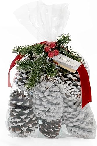 ANDALUCA Florero decorativo de piña y rellenos de cuencos (pino escarchado)