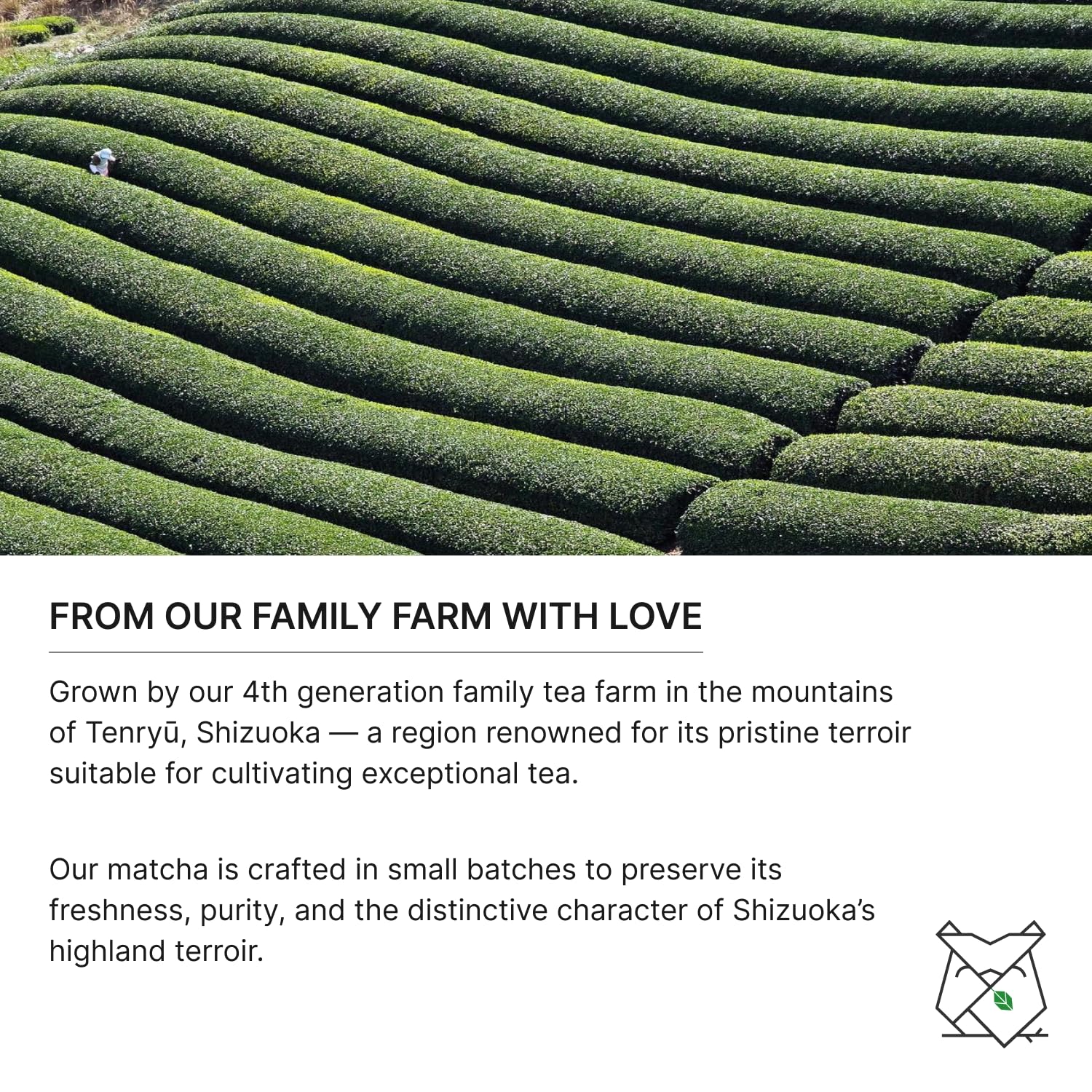 FKRO Organic Ceremonial Grade Matcha Green Tea Powder 1st Harvest Single Origin Single Saemidori Cultivar Flown in Fresh — view 4