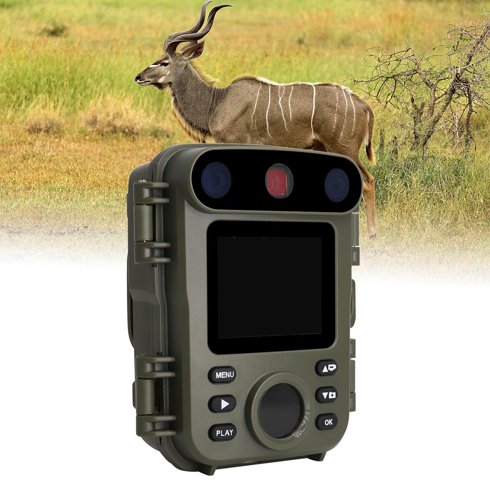 Telecamera con visione notturna per