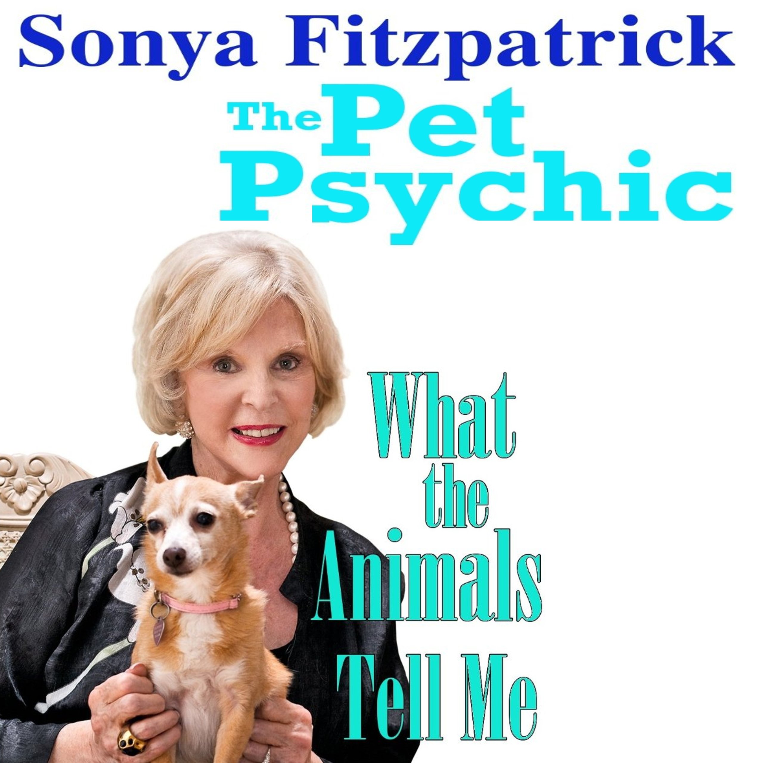Cover art for What the Animals Tell Me