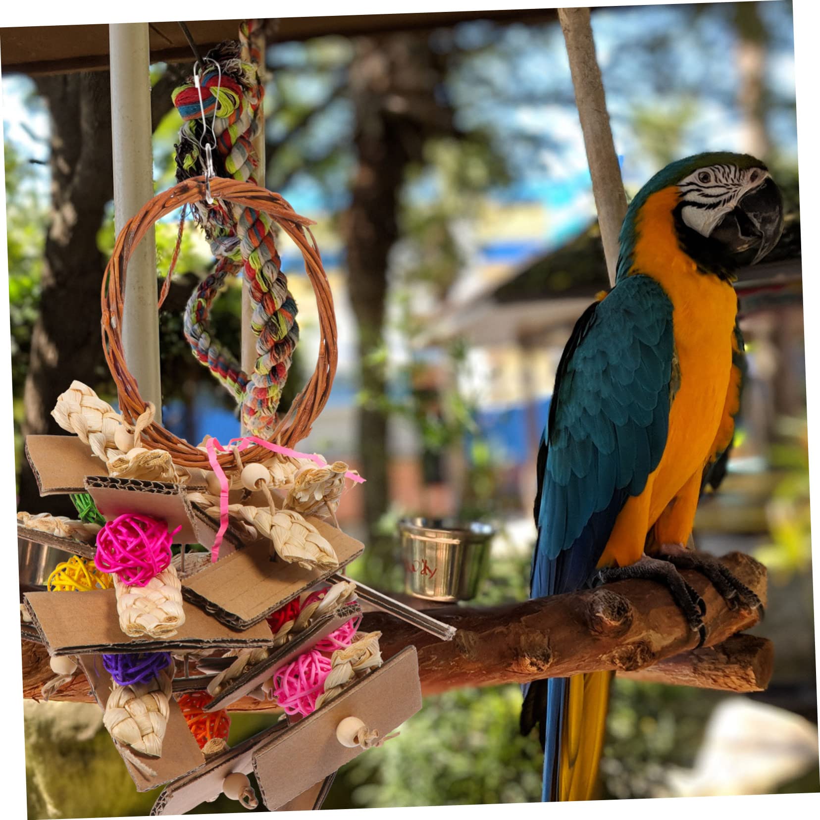 Mipcase 3pièces Jouet Suspendu Vignes pour Oiseaux Accessoire à Mâcher pour Perroquets Et Oiseaux