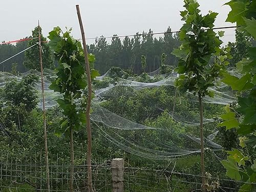 Miniatura 4 de Mitef Red antigranizo para huerto antienvejecimiento contra granizo para jardín de verduras, red de protección de granizo, 6.5 x 50 pies