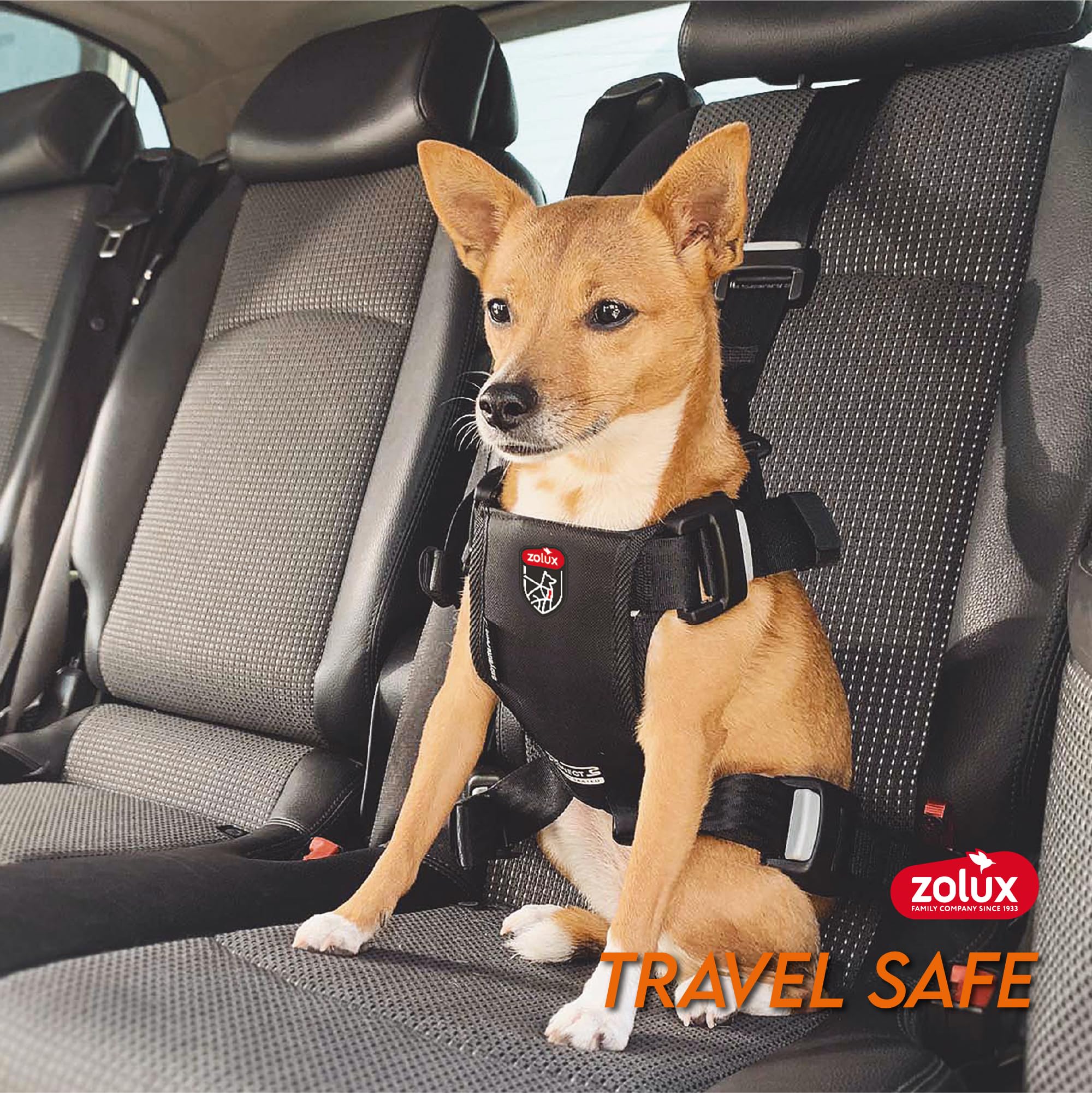 Zolux Travel Safe Harnais de Sécurité Auto pour Chien S - Noir - Chiens 7-15kg - Fixation ISOFIX + Top Tether - Système Antidesserrage MASA - Crash-Testé - Ajustable - Confortable - Marque Française