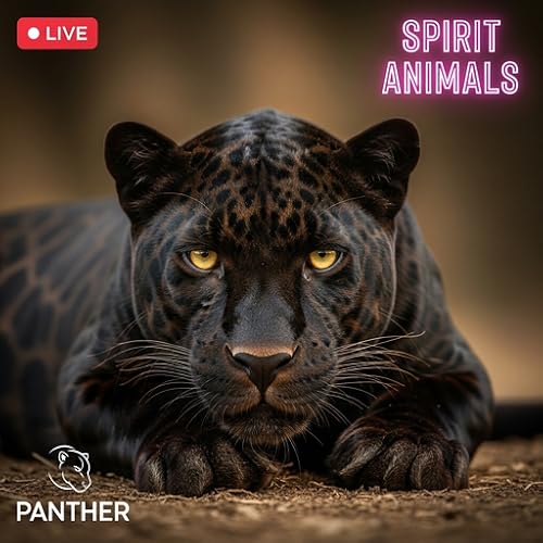 Cozy sleeping Black Panther Nights: Soft Jungle Winds in a Wakandan Cave – Stealth 4K Sleep Screensaver