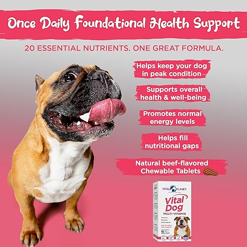 Miniatura 3 de Vital Planet - Vital Dog - Suplemento masticable con múltiples vitaminas para la salud diaria con vitaminas, minerales y antioxidantes para perros -