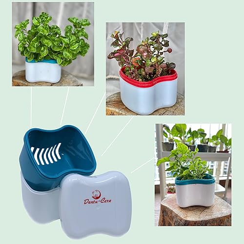 Miniatura 9 de Sparkle Dent Denture Cleaner Whitener incluido con caja de dentadura dental con cesta y tapa para un fácil almacenamiento del retenedor Invisalign