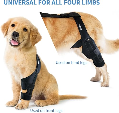Miniatura 8 de Rodillera para perro para desgarro de ACL y soporte de pierna trasera  Soporte ajustable para cadera y pierna de perro para ligamento cruzado,