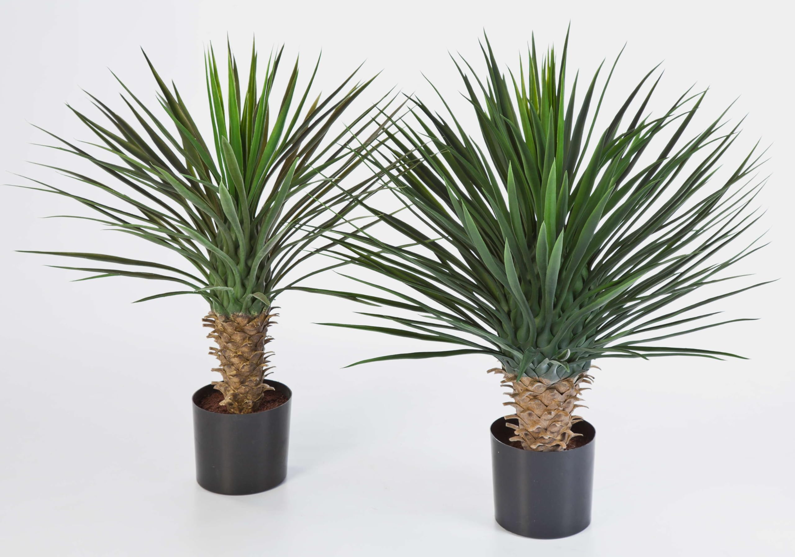 artplants.de Knstliche Yucca Rostrata, 90 Bltter, Deluxe, 80cm -  Kunstbusch - Yucca Kunstpflanze : Amazon.de: Garten