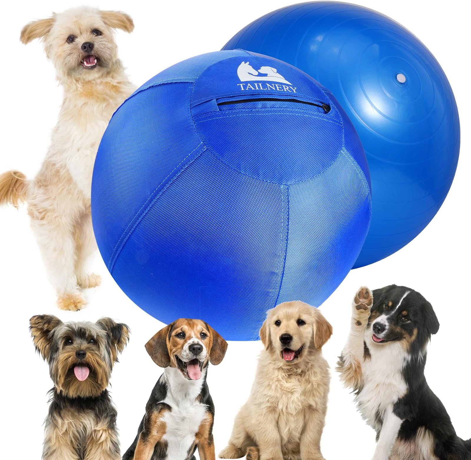 Big Ball For Dogs ANC POP Horses 20
