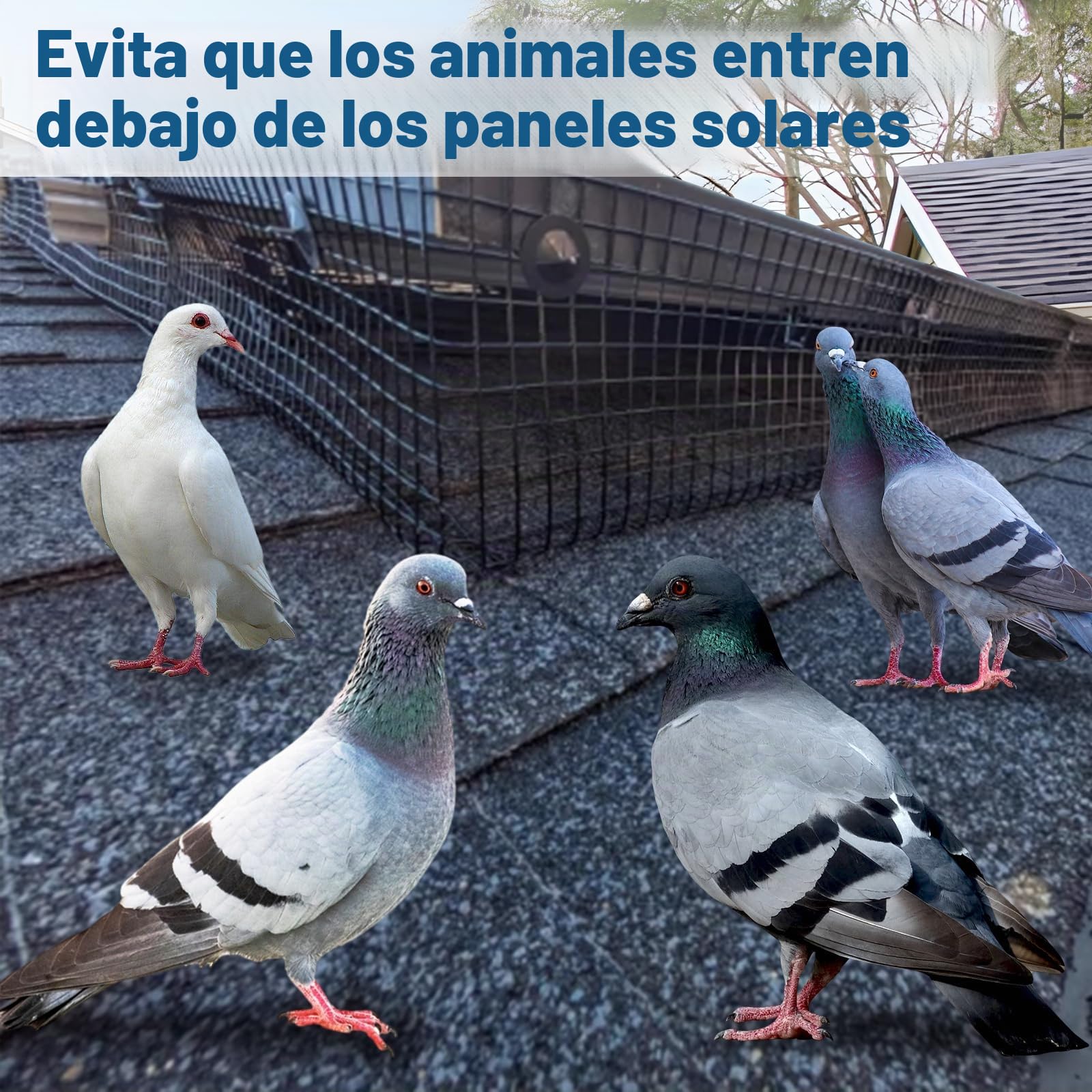 30M x 20CM Protección Antipájaros para Paneles Solares con 60 Clips de Fijación, Malla de Acero Recubierta de PVC Negro 1,27 x 1,27 cm, Rejilla Metálica para Panel Solar, Gallinero y Cercados