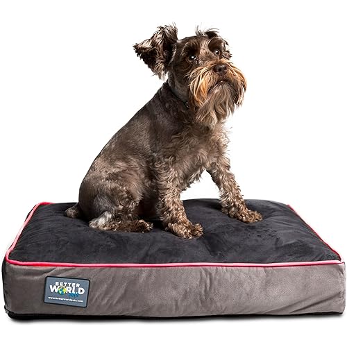 5-inch Thick Orthopedic Dog Bed | Pure Premium Shredded Memory Foam Ideal for Aging Dogs | Waterproof Removable Washable Cover