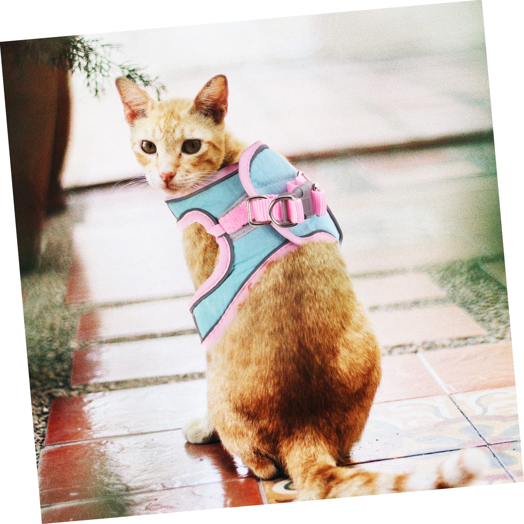 Supvox 4sätze Reflective Puppy Vest Mit Teiliges Für Katzen Und Hunde Verstellbares Und Atmungsaktives Geschirr Für Sicheres Outdoor-Walking Für Kleine Haustiere