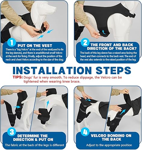 Miniatura 4 de Rodillera ajustable para pierna de perro para pierna trasera, rodillera de perro para pierna trasera desgarrada con 4 estabilizadores, soporte de