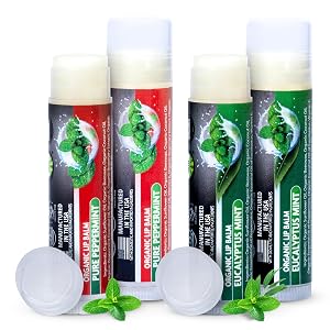 Organic Lip Balm Variety 4 Pack Peppermint Eucalyptus Mint Chapstick Set Moisturizing for Dry Lips For Men and