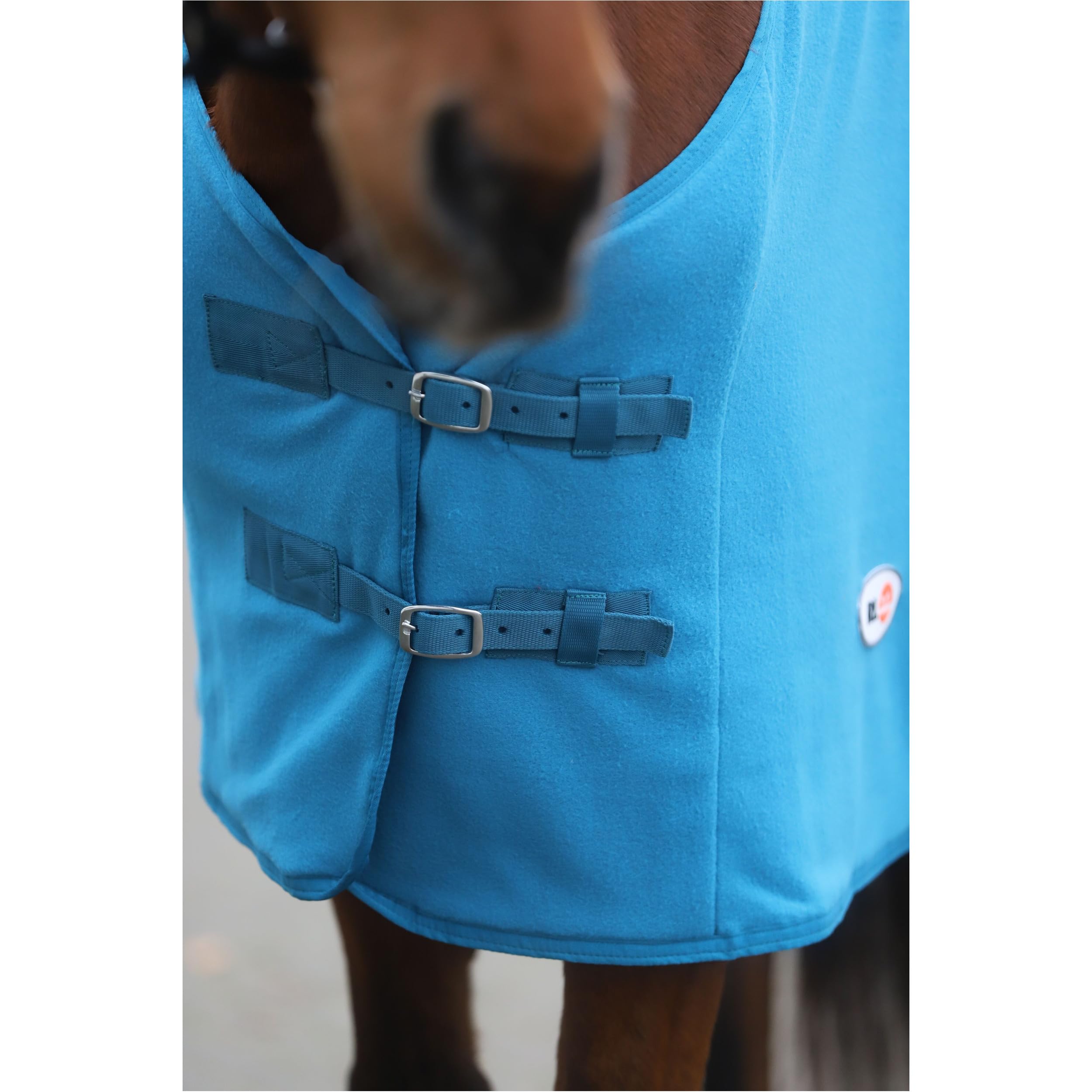 RL24 - Abschwitzdecke Basicline – Pferdedecke mit Schweifkordel, Widerristpolster & Metallverschluss – atmungsaktive Fleecedecke – Pferde Zubehör – Transportdecke in Petrol – 95cm