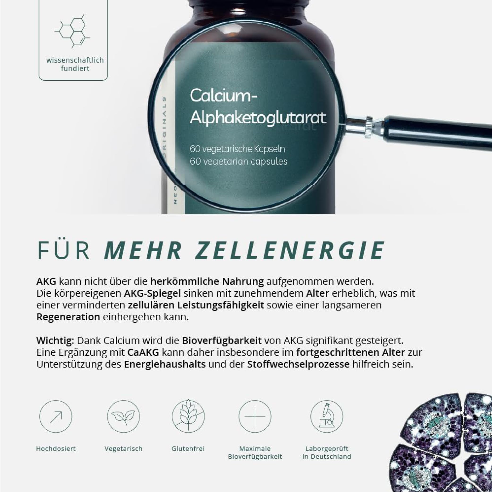 Longevity Bundle Betain TMG + Resveratrol + Alpha Ketoglutarat | 3er Kapsel Set | Hochdosiert & vegan | Ohne Zusatzstoffe | Premium Qualität | Daily Stack