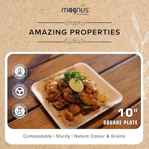 Miniatura 2 de magnus - Platos cuadrados de 10 pulgadas, 50 piezas, platos desechables para fiestas, como platos de bambú, platos de hoja de palma para cena y