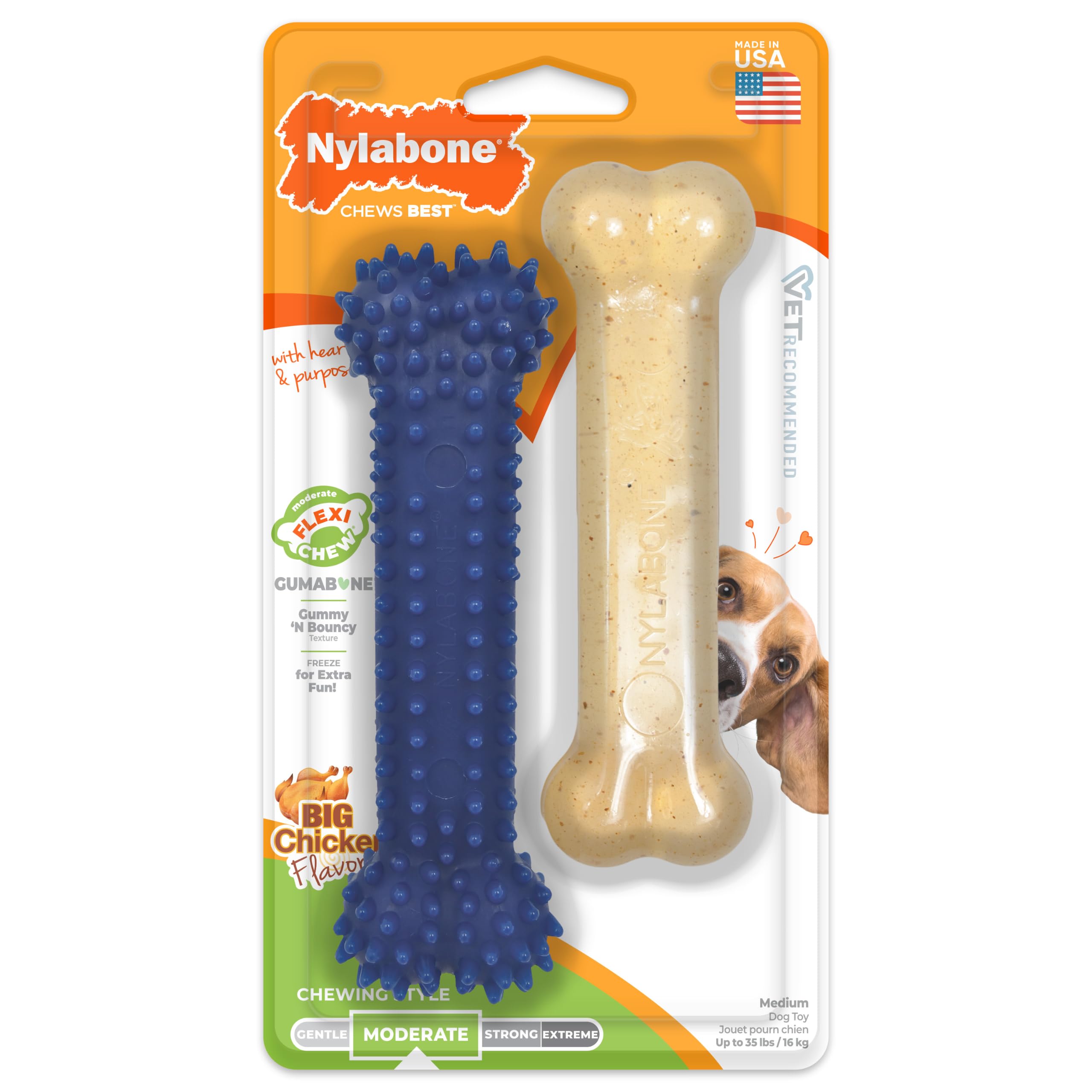 Nylabone Flexi Chew Original Bone & Textured Bone Dog Chew Toys, 2 Count