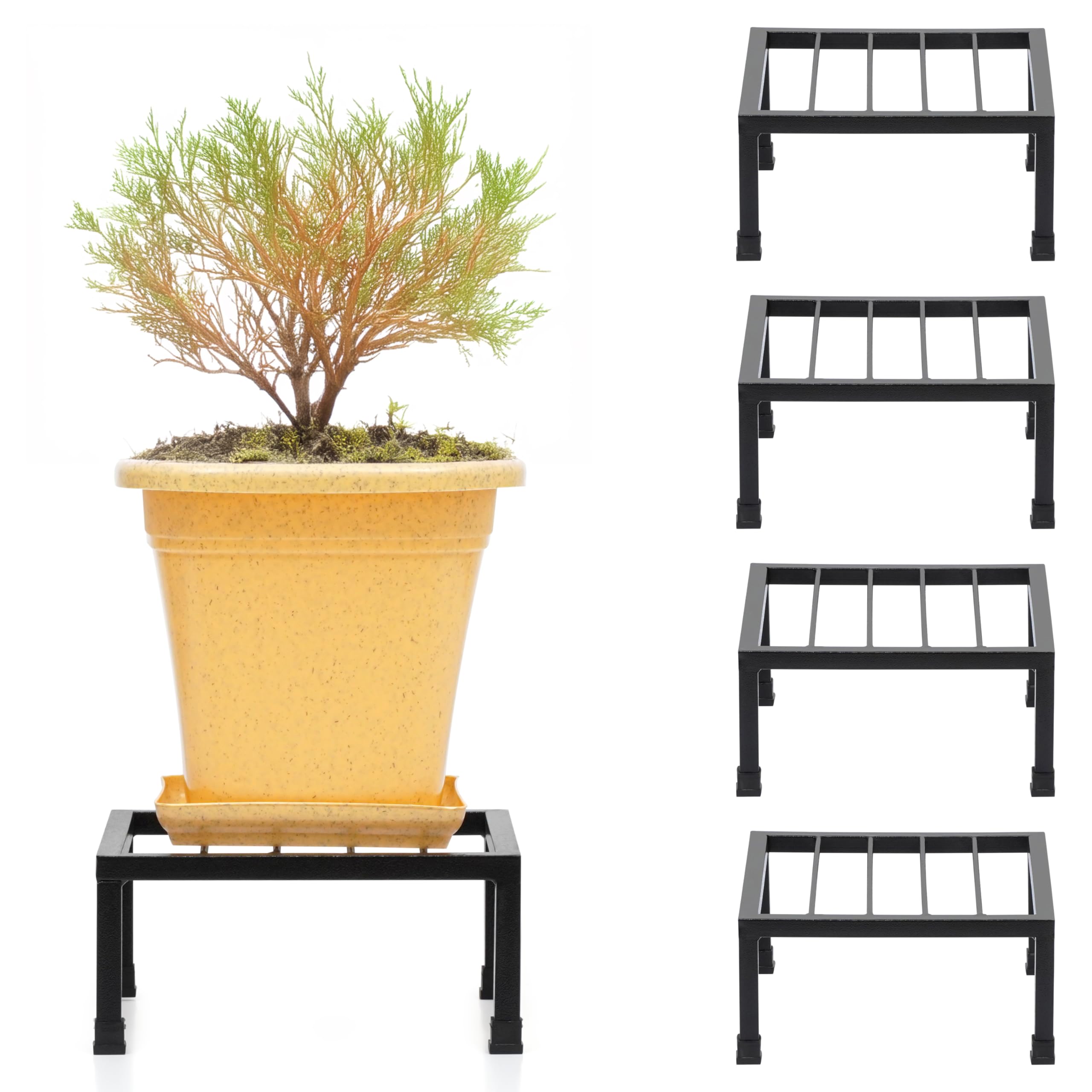 See full amazon price history chart for Livzing Metal Plant Stand-Iron Stand for Indoor & Outdoor Planters, Pot Stand for Plants, and Stand for Pots for Plants, Durable & Stylish - Perfect for Balcony, Terrace-(Pack of 4-Black) Livzing Metal Plant Stand-Iron Stand for Indoor & Outdoor Planters, Pot Stand for Plants, and Stand for Pots for Plants, Durable & Stylish - Perfect for Balcony, Terrace-(Pack of 4-Black) (B0B5KR9KPV) Amazon Price History, Amazon Price Tracker
