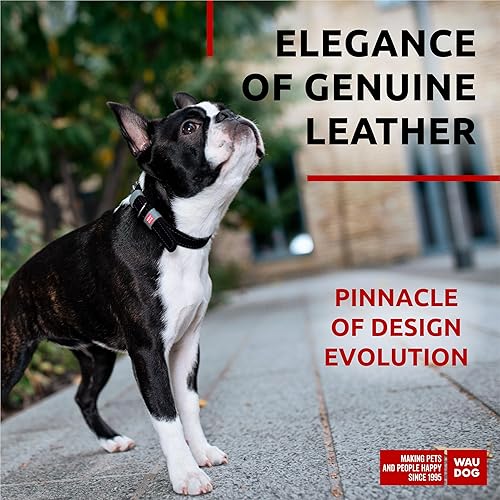 Miniatura 2 de WAUDOG Collar de cuero de larga duración para perros grandes, medianos y pequeños  Collares clásicos ajustables para cachorros de raza grande