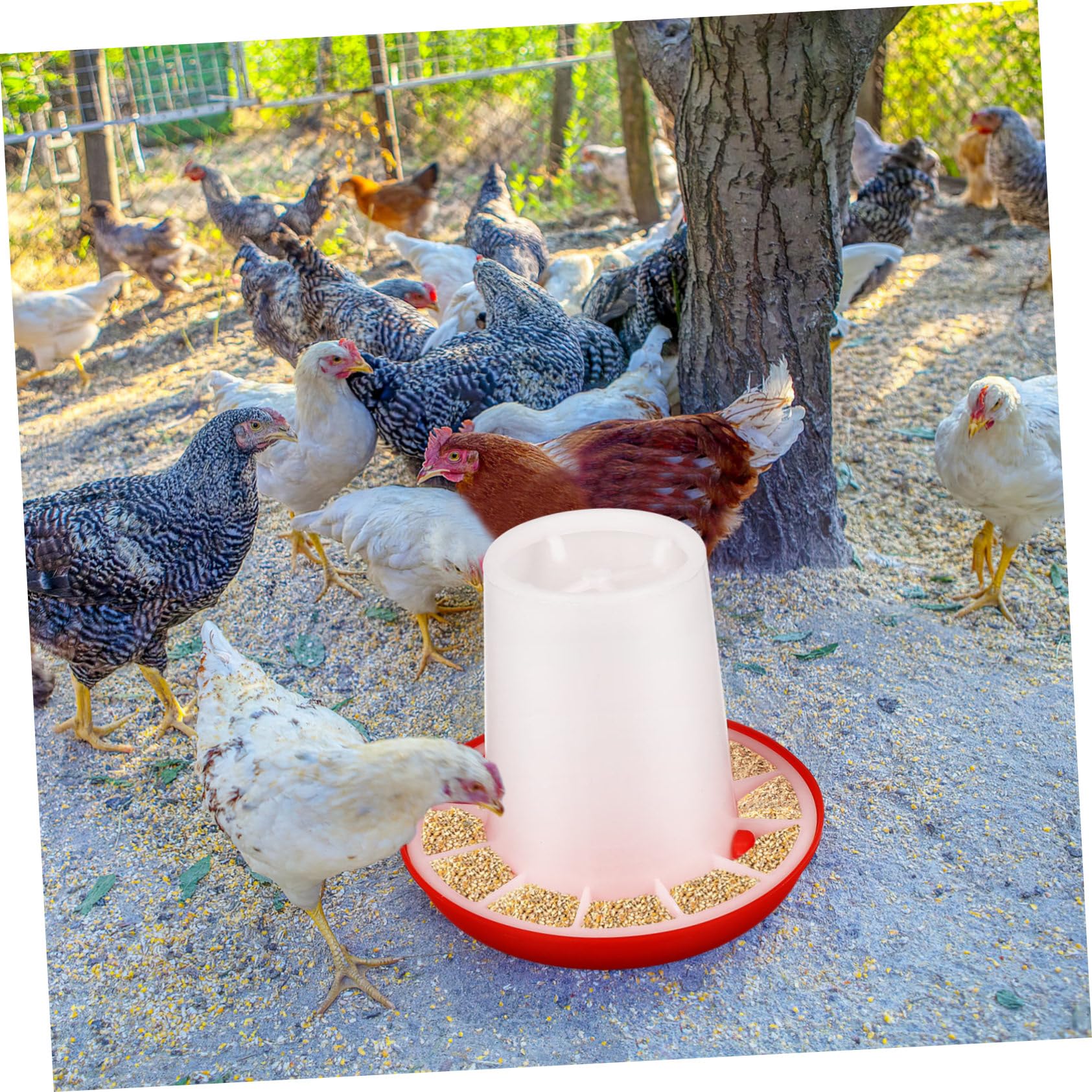 2piezas Comedero Para Gallinas y Plástico Resistente Unidades Para Jaulas De Aves Antisalpicaduras Práctico