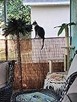 Review Image by Pudknocker71 Pudknocker71