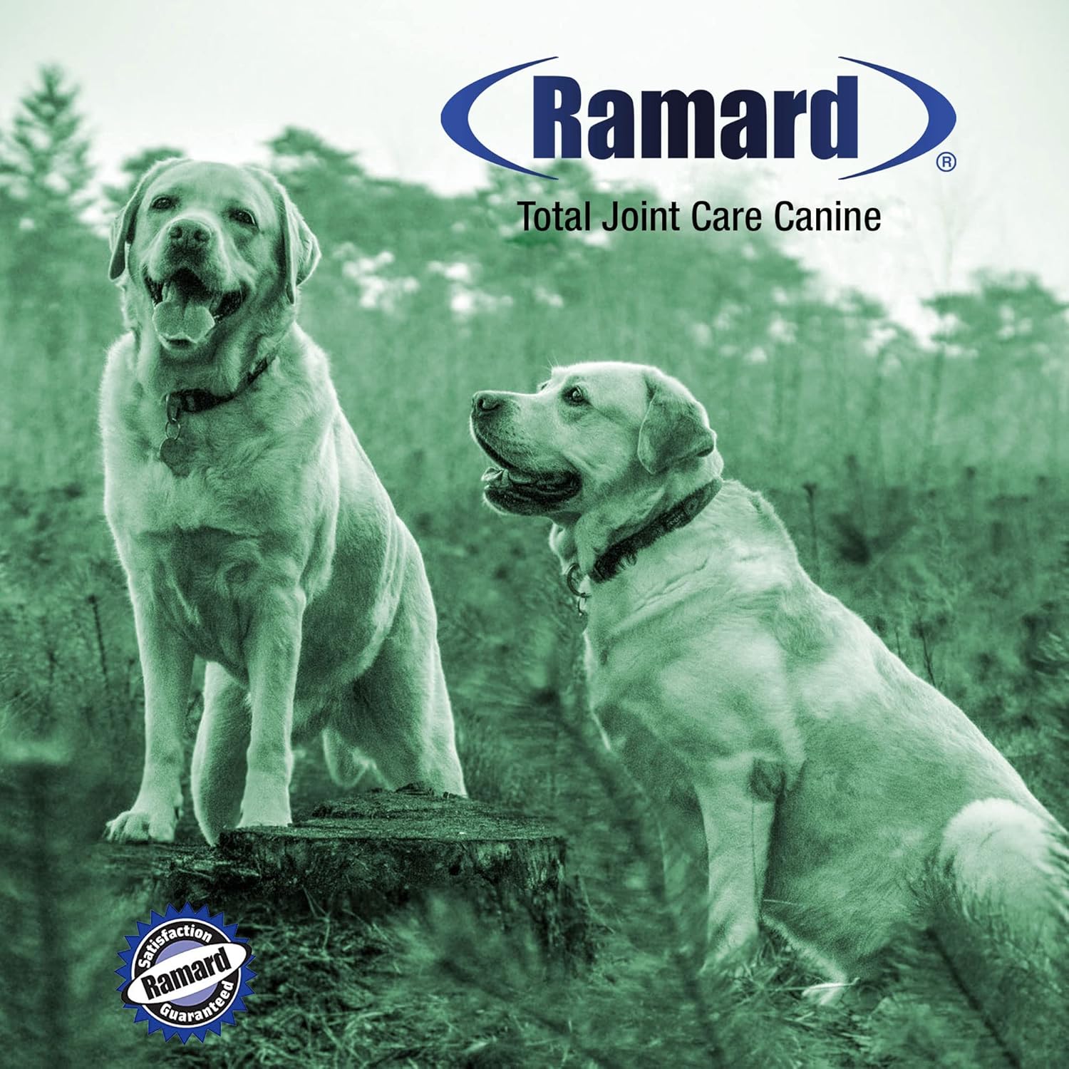 Ramard Total Joint Supplement for Dogs - MSM Glucosamine Chondroitin for Dogs & Hyaluronic Acid, Dog Vitamins and Supplements, Joint Support for Dogs Small & Large Dog Breeds (45 Chews Jar, 1-Pack) : Pet Supplies
