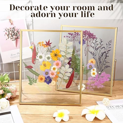 Miniatura 5 de Fainne Paquete de 5 marcos flotantes de fotos de metal de 8 x 10 pulgadas con cubierta de vidrio y soporte, geométrico vertical antiguo flotante