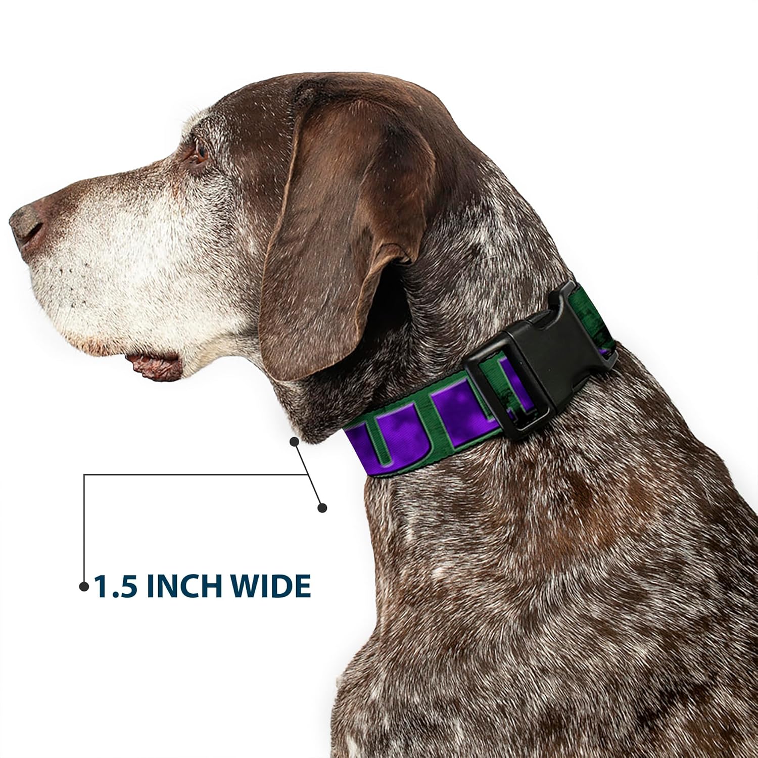 Buckle-Down Dog Collar Plastic Clip Hulk Face Close Up Action Pose Greens Purples 18 to 32 Inches 1.5 Inch Wide, PC-WHU008-WL