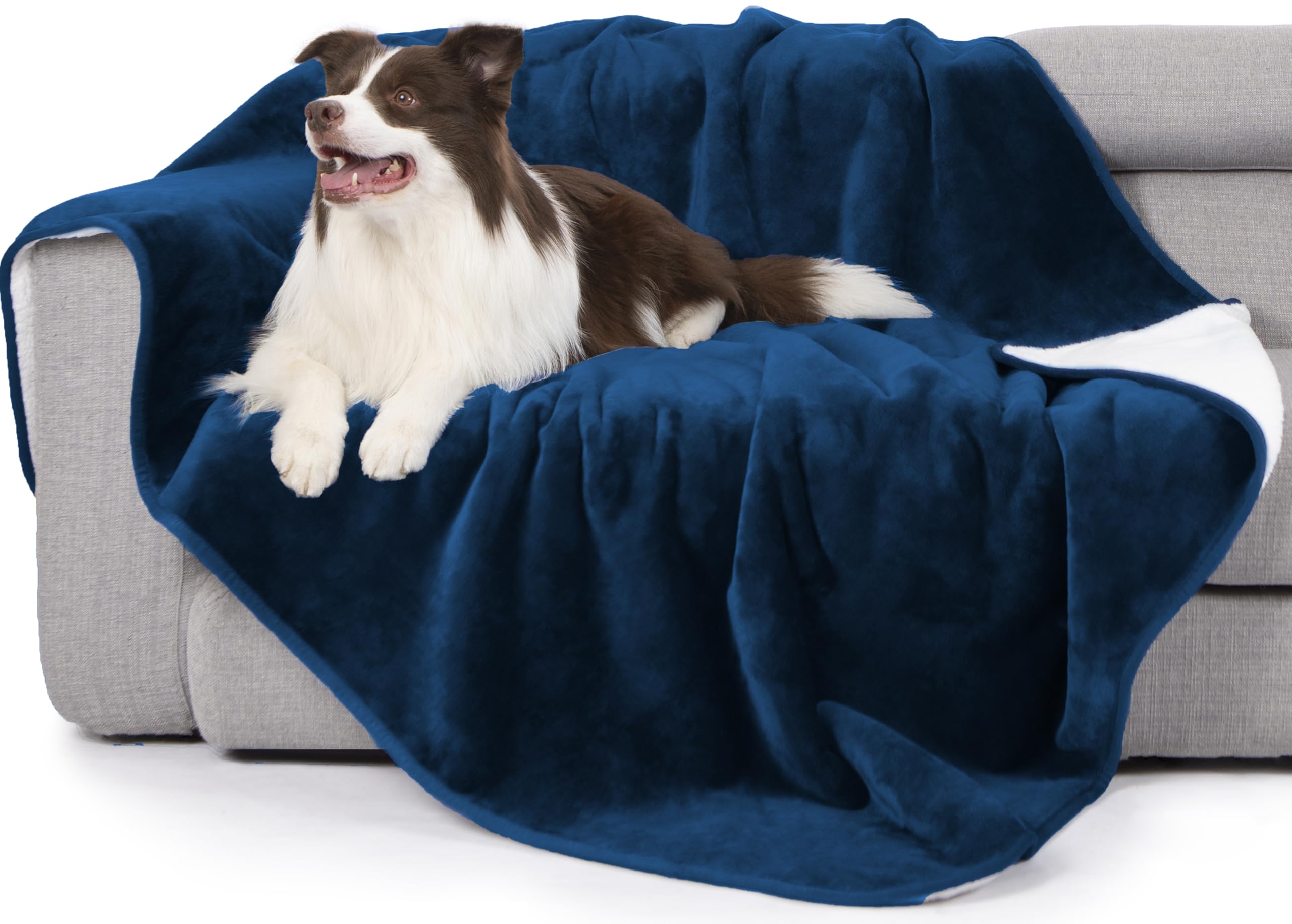 gogobunny Waterproof Bed Blanket, Reversible Sherpa Fleece Throw Blanket for Dog Puppy Cat, Furniture Cover Protects Bed Couch Sofa from Liquid Pee and Pet Fur (Navy Blue, 60x80 inches)