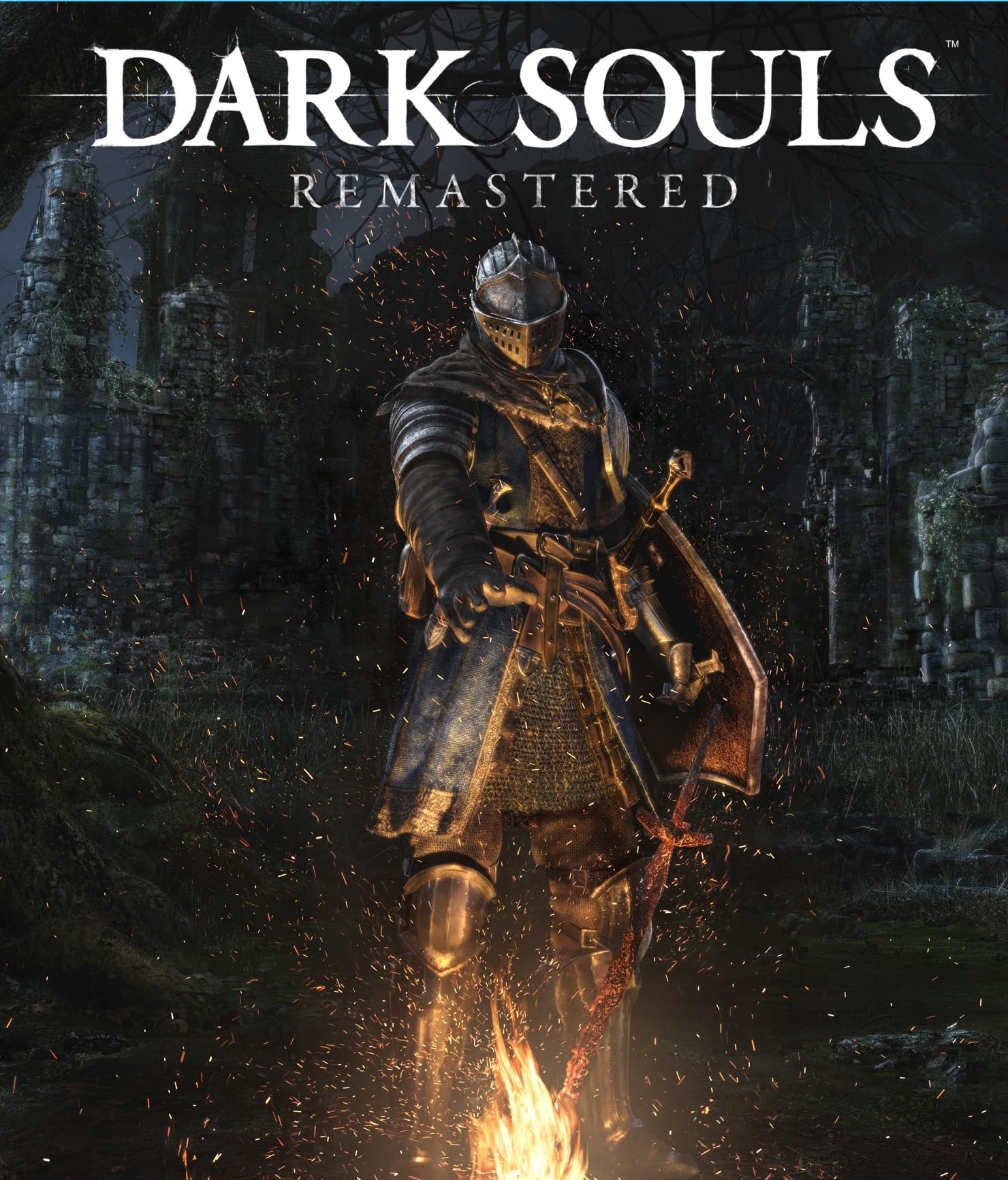 Dark Souls Remastered | PC DVD Game by Zigshash Retail-picture-20
