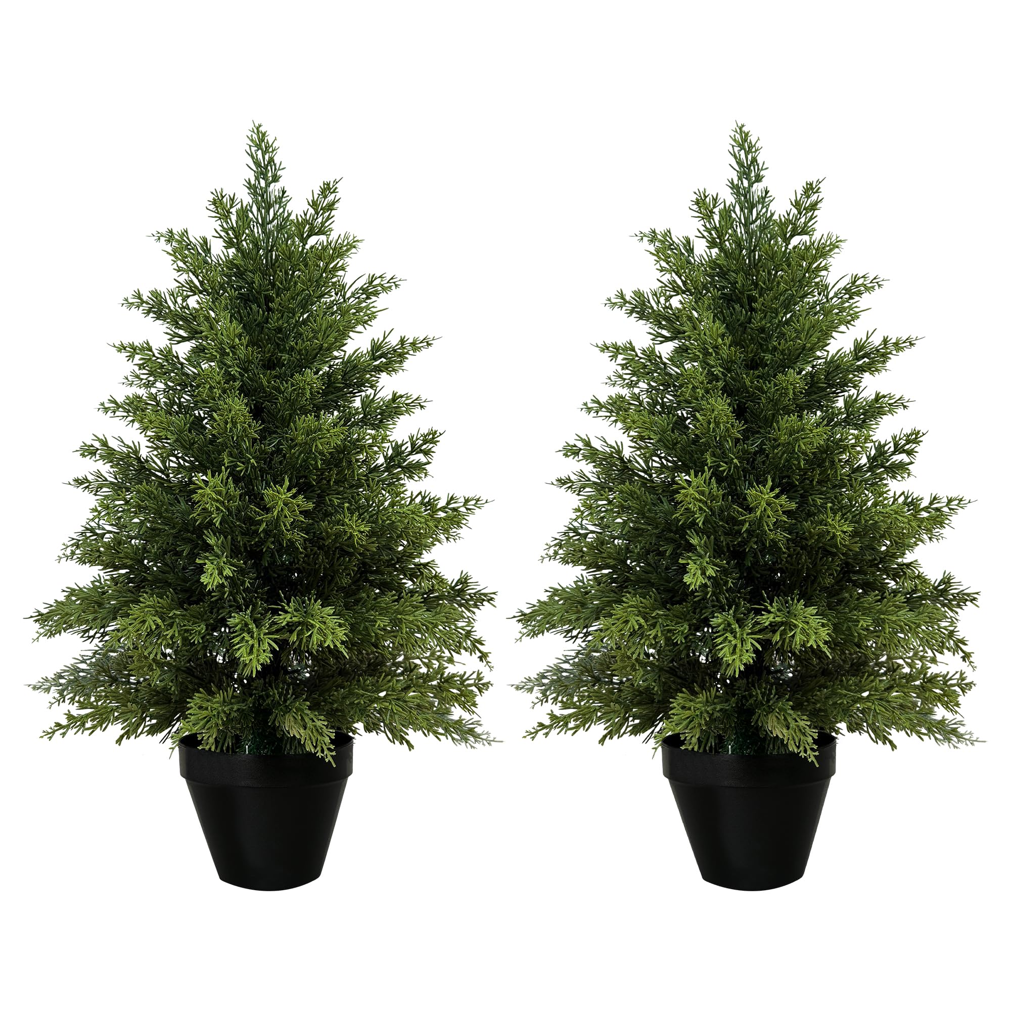 Mavis's Diary 2ft TPE Cedar Pair