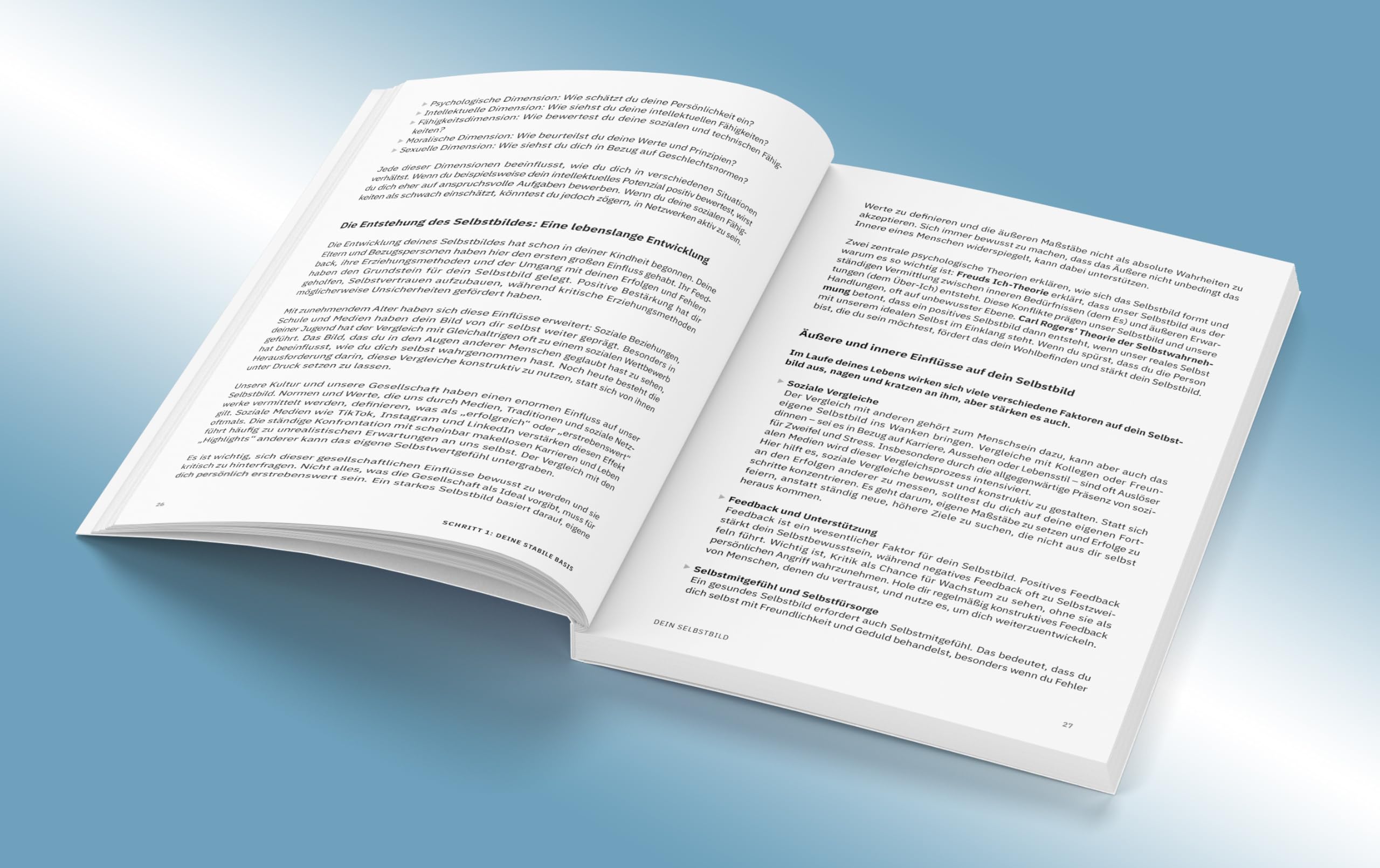 Der 5-Schritte-Plan zur individuellen Karrieregestaltung: Innere Klarheit gewinnen. Wertvolle Beziehungen aufbauen. Sinnerfülltes Berufsleben führen. ... Zusatzinhalten zum Buch (Whitebooks)