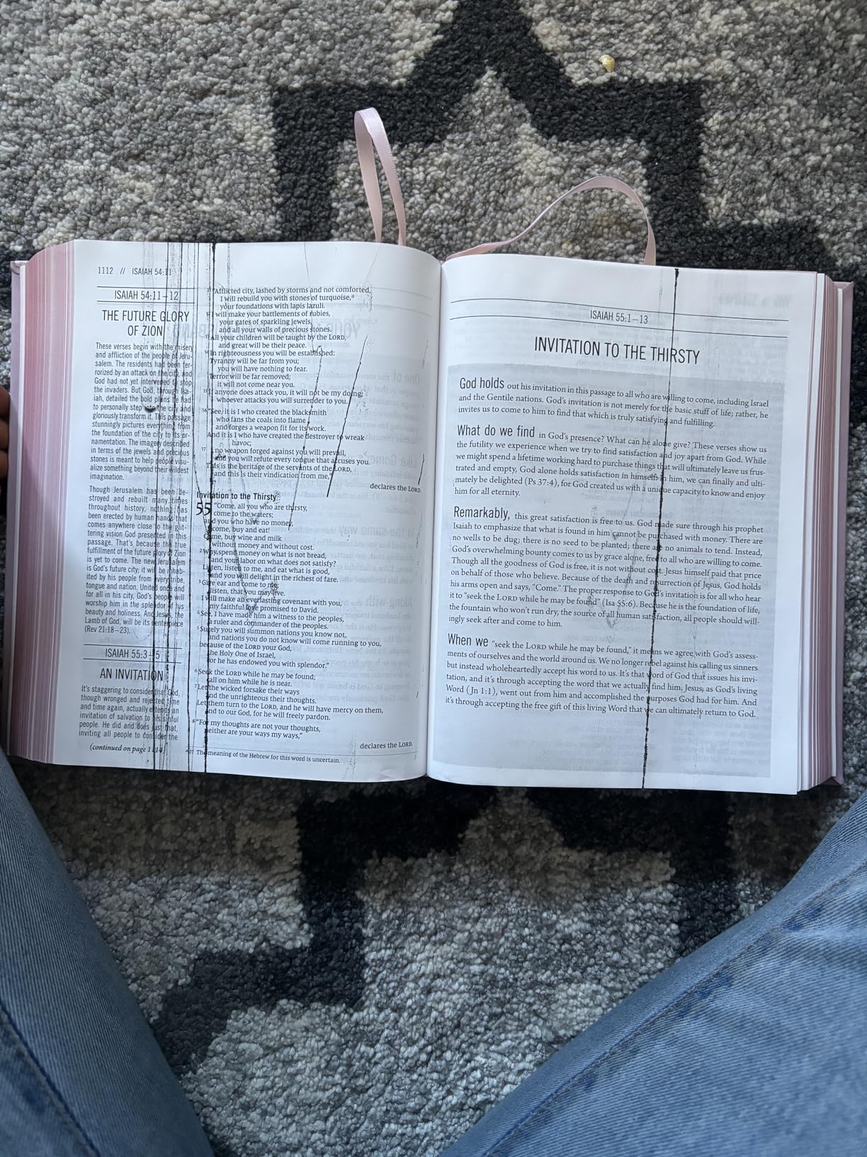 The Jesus Bible NIV Edition [Pink] Zondervan Books
