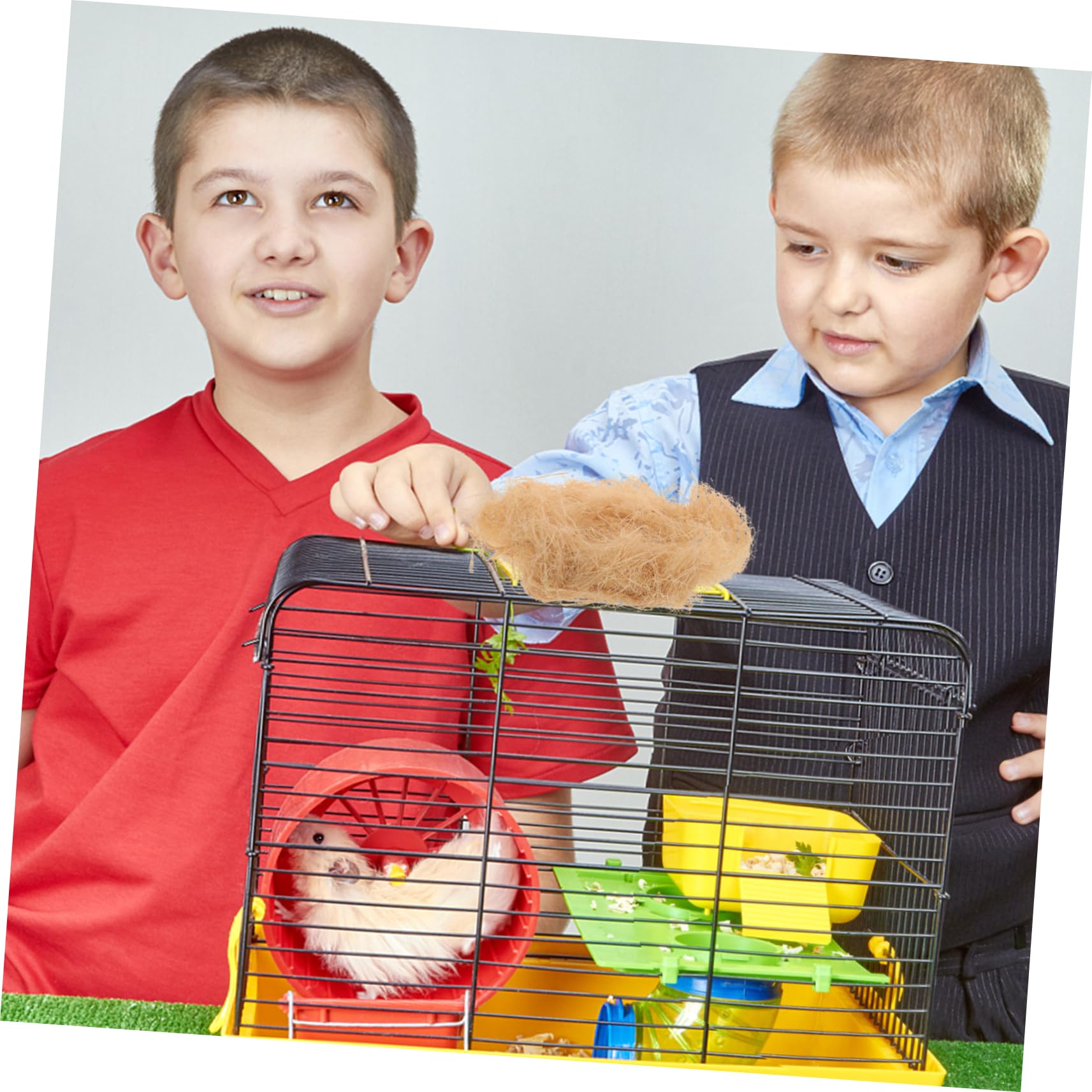 BESTonZON DIY Nesting Material Small Nest Grass Filler for Birds Natural Decoration Grass