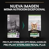 Ver la foto 2
