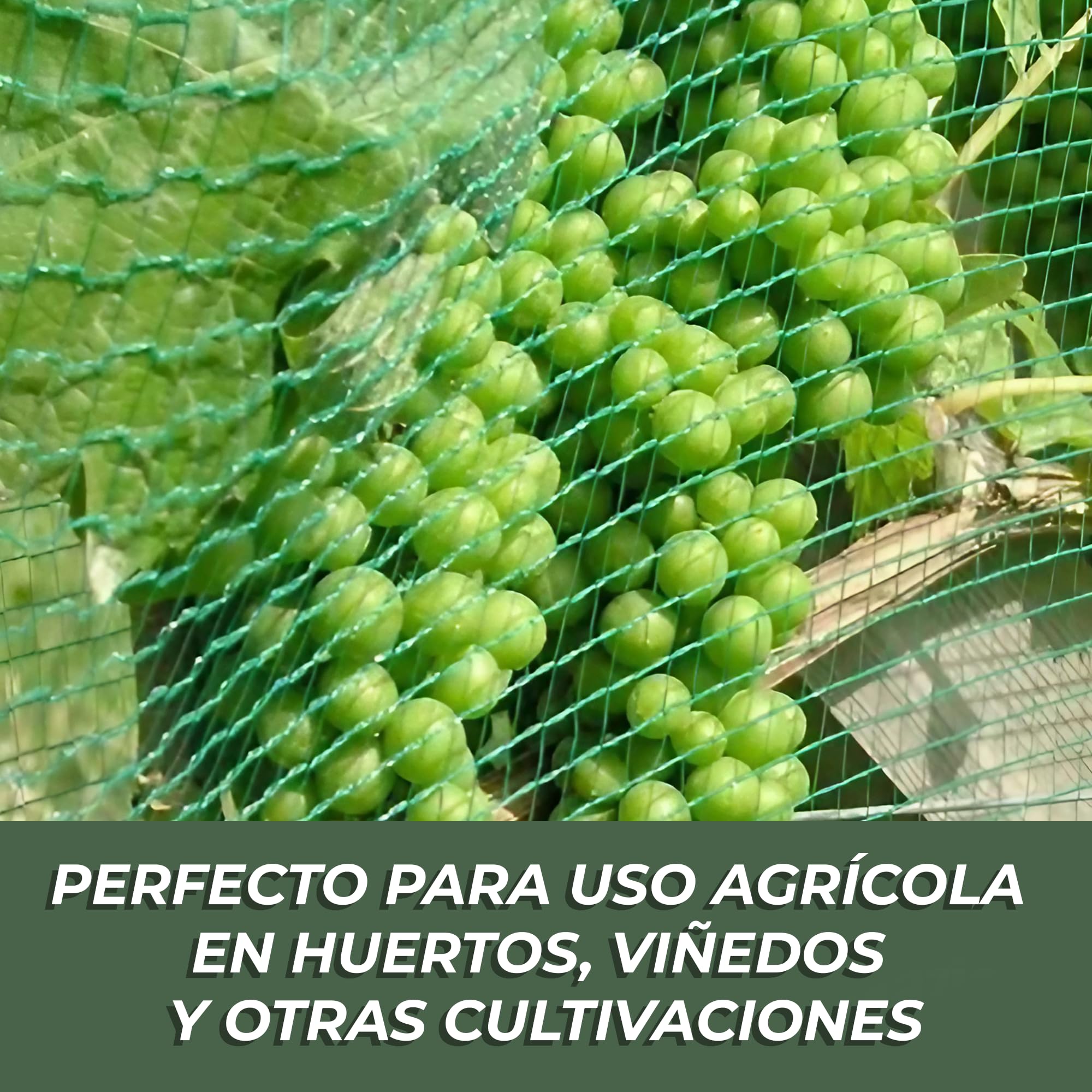 ESTO Red antigranizo de tela anti granizo, red apta para frutas y verduras, jardines, plantas, antipájaros, de PE estabilizado a los rayos UV, lona, tela de tela de 10 metros/4 m/con clip