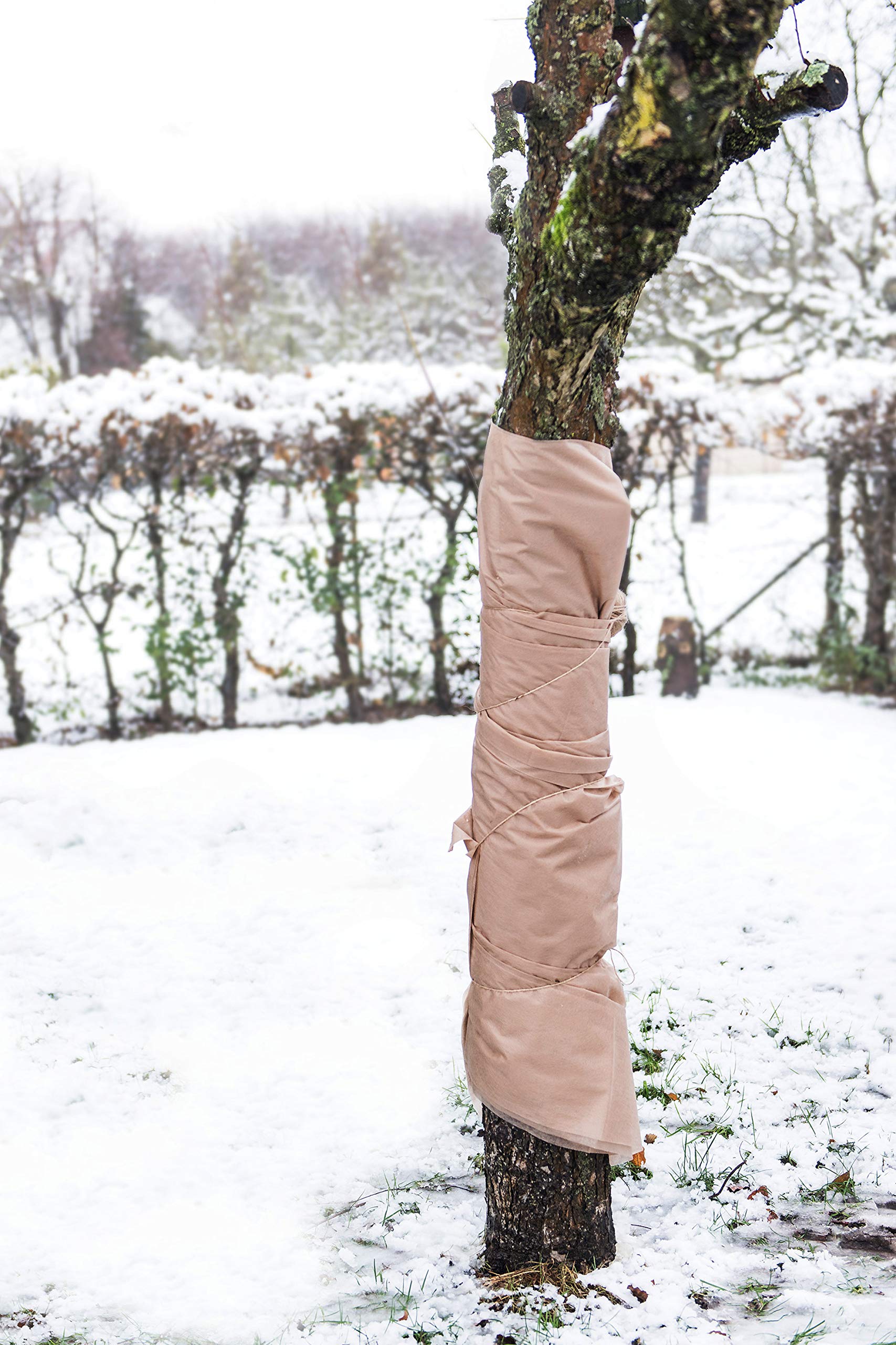 Meister Winterschutzvlies 5 x 1,5 m - 30 g/m² - PP - Idealer Frostschutz von Pflanzen & Gewächsen - Nachhaltige Wärmespeicherung - Mehrfach verwendbar/Frostschutz/Schutzhaube / FLOR80270