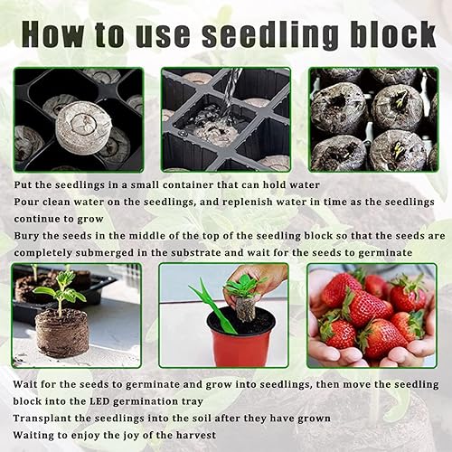 Miniatura 2 de LCYATSI Juego de 2 piezas de 80 celdas con luz de crecimiento y 80 cúpula de humedad de pellets de turba bandeja total de 160 celdas bandejas de