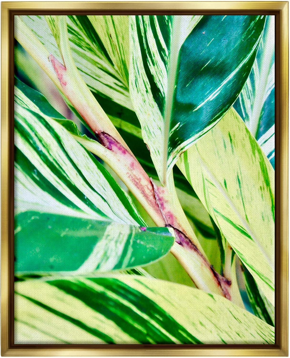 Stupell Industries Tropical House Plant Leaves Close Up Photography, Design by Gail Peck