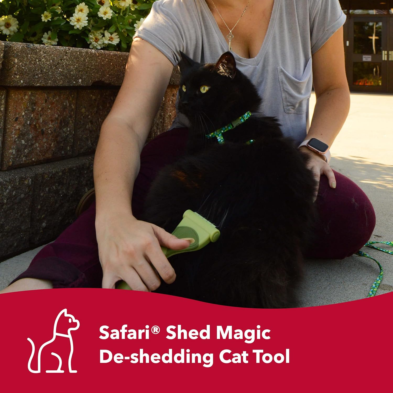 Coastal Pet - Safari - Shed Magic Deshedding Tool for Cats - Medium, Long Hair : Pet Shedding Tools : Pet Supplies