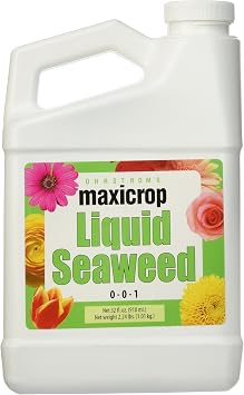 استخراج عشب البحر السائل Maxicrop ، 32 Oz