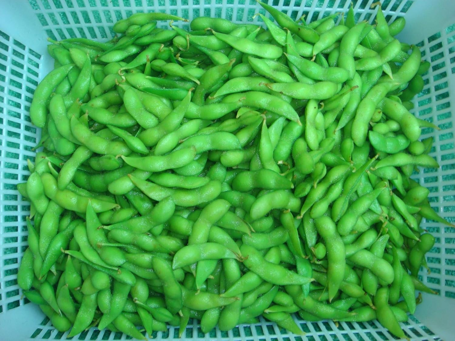 Edamame Seeds Soybeans Nnewest Crop and NonGMO untreated Seeds Young Soy Bean 8090 Days