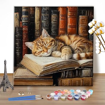 EOBROMD Paint by Numbers Kits for Adults Sleepy Cat, DIY Painting Kits for Adults Beginner, Acrylic Paint Oil by Numbers for Home Decor Gift 16x16inchWithout Frame
